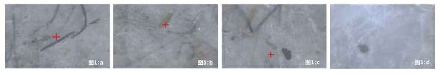 1604390595140670.jpg 3.jpg